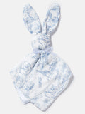 Baby Safari Collection Bunny Comforter - Baby Blue